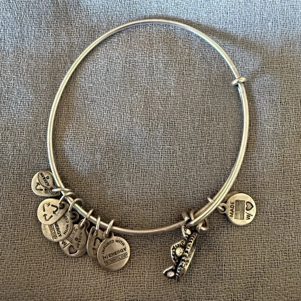 Alex and Ani Silver Charm Bangle Bracelet - Picture 1 of 4